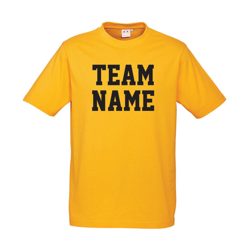 House Colour T-Shirts
